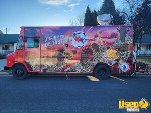 1999 Grumman Olson All-purpose Food Truck Exterior Customer Counter Idaho for Sale