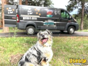 2016 1500 Pet Care / Veterinary Truck Spare Tire Colorado Gas Engine for Sale