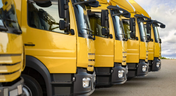 yellow day cab trucks parked in a row