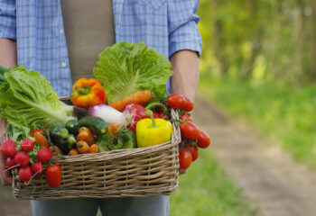 young local farmer holding fresh vegetables in a basket ready for distribution to food trucks