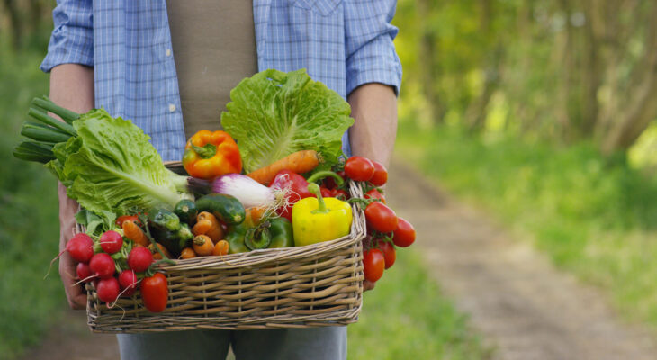 young local farmer holding fresh vegetables in a basket ready for distribution to food trucks