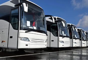 white coach buses in a row