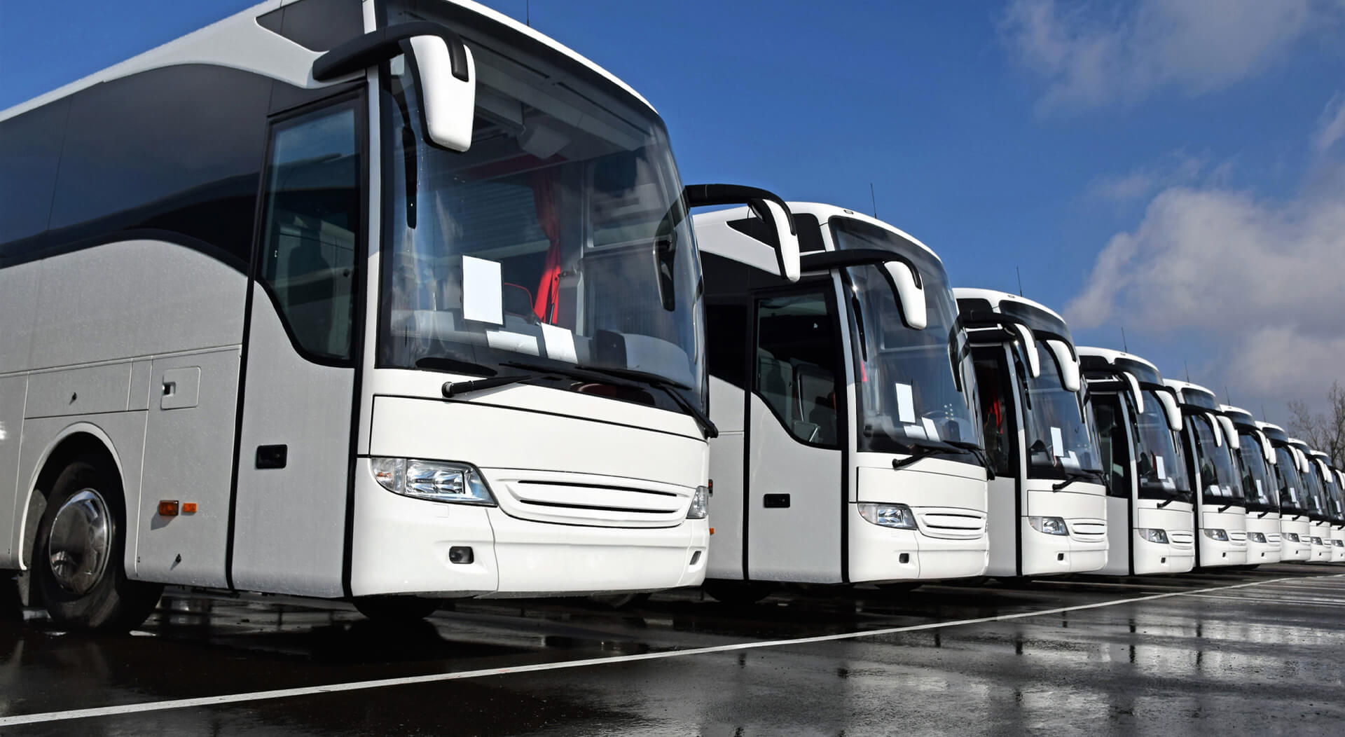 white coach buses in a row