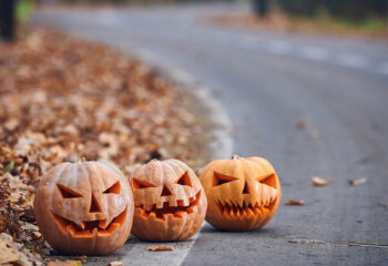 Three Halloween Pumpkins on the side of the road in the forest