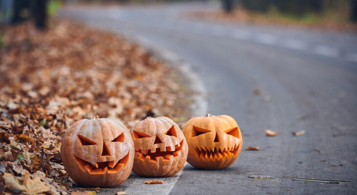 Three Halloween Pumpkins on the side of the road in the forest