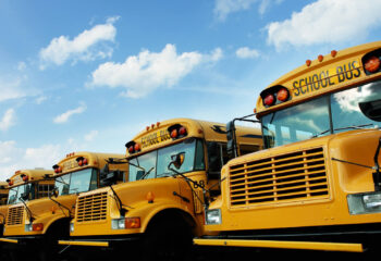 group of yellow school buses parked in a bus parking lot