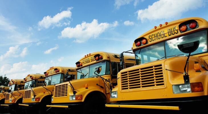 group of yellow school buses parked in a bus parking lot