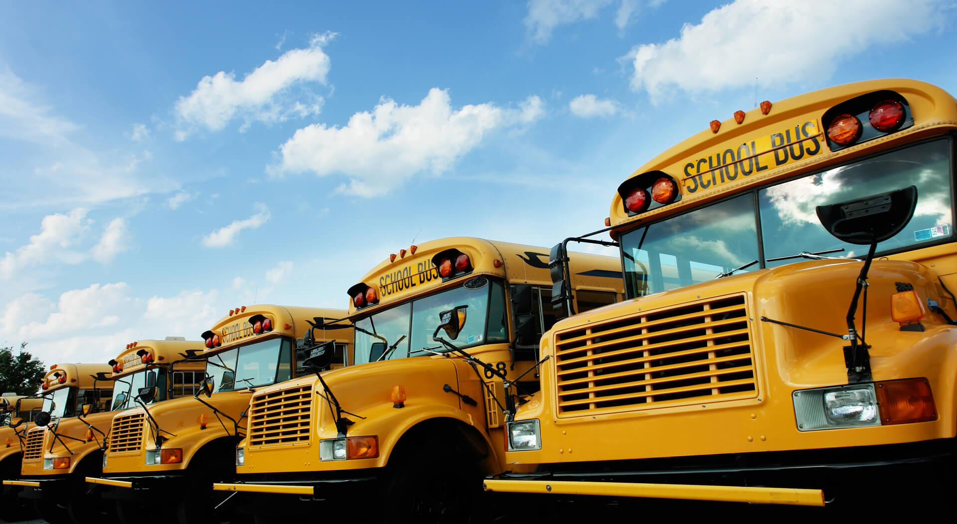 group of yellow school buses parked in a bus parking lot