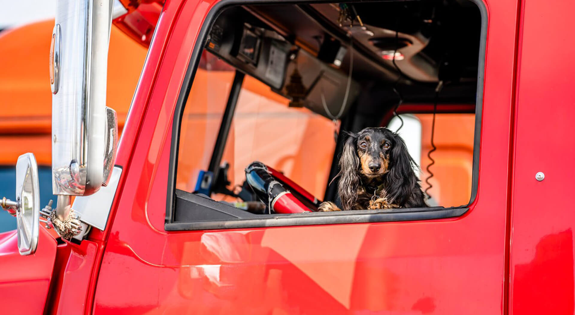 truck driver's pet sitting on the driver's seat of a red semi truck