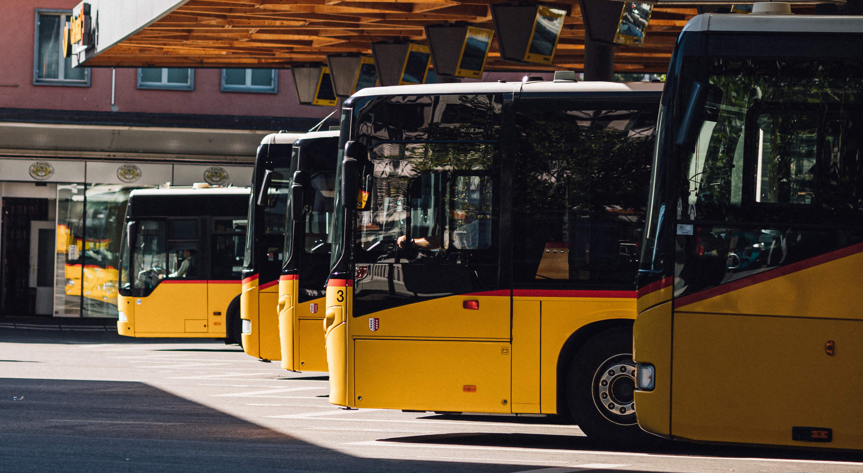 group of yellow coach buses in a parking lot