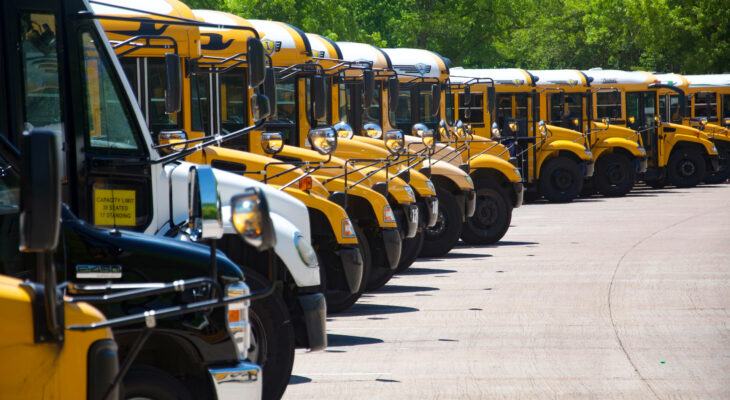 yellow school buses on road during daytime