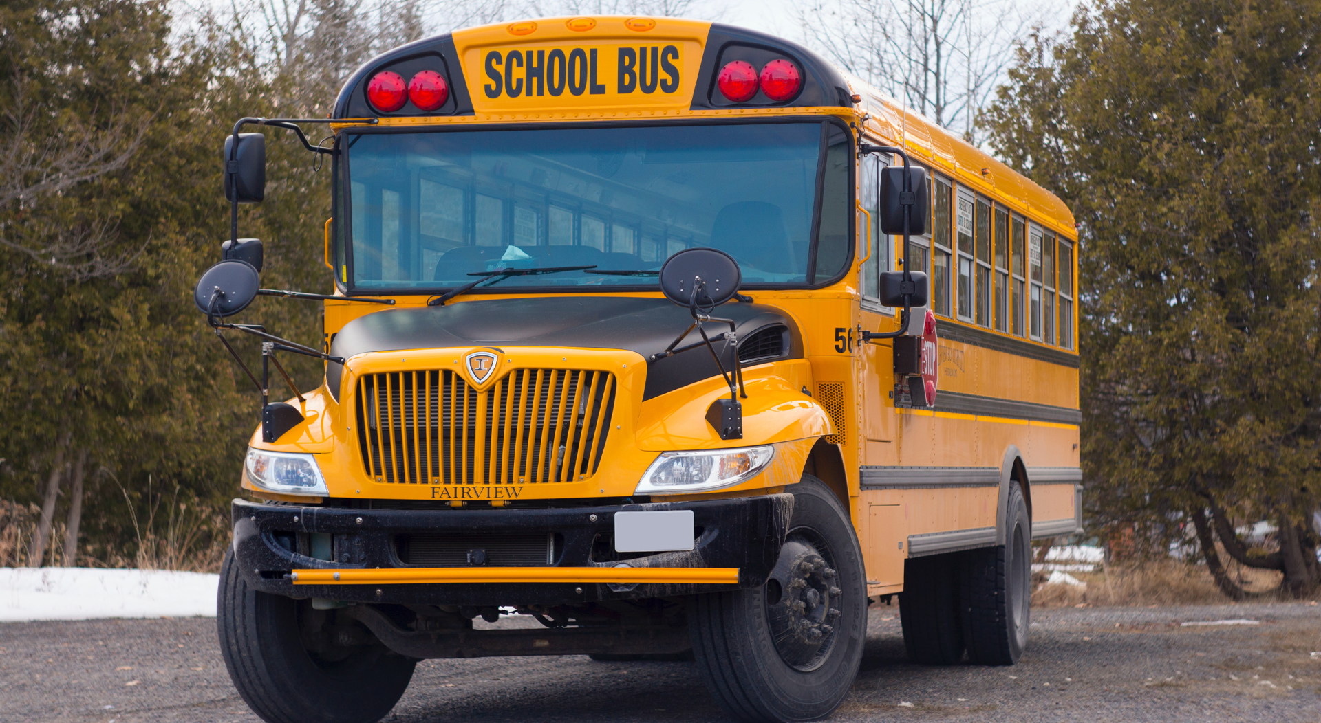 yellow school bus on road