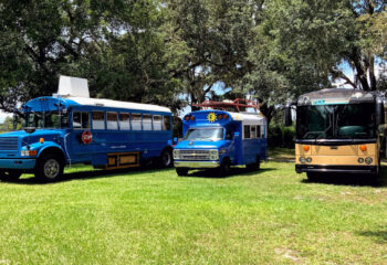 three skoolies in a park