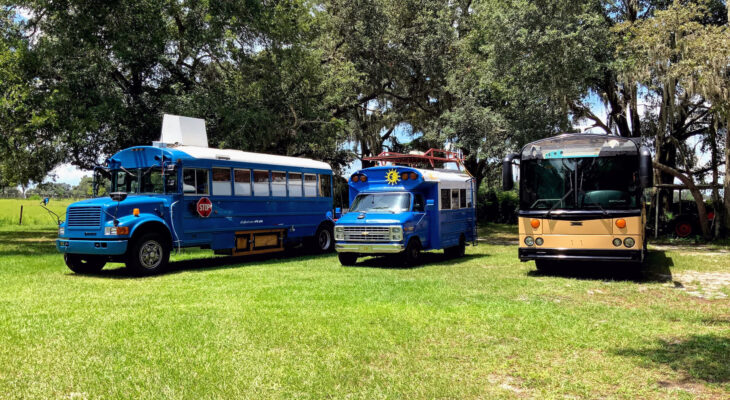 three skoolies in a park