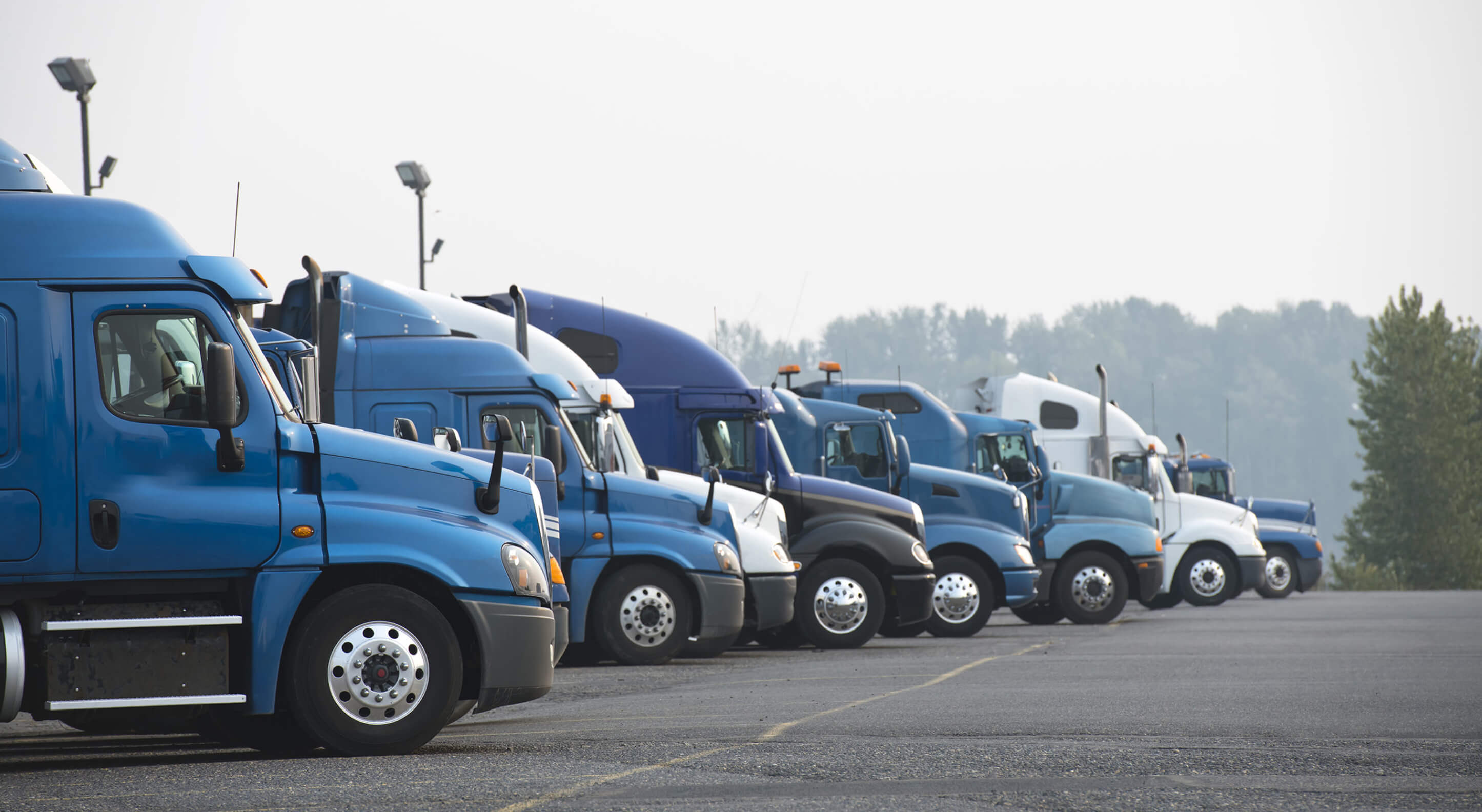 row of blue semi truck for sale at a parking lot