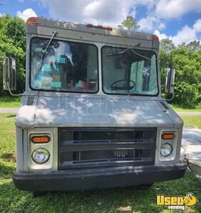 1979 All-purpose Food Truck All-purpose Food Truck Warming Cabinet Florida Gas Engine for Sale