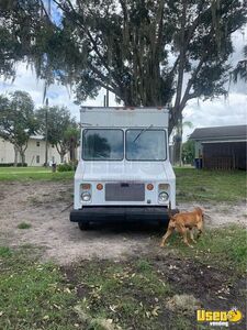 1987 P30 Stepvan Stepvan Diesel Engine Florida Diesel Engine for Sale