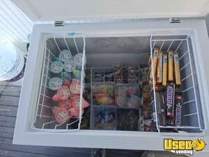 1989 G20 Ice Cream Truck Interior Lighting Florida for Sale