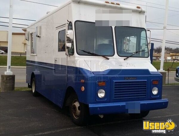 1991 Grumman Catering Food Truck Ohio Gas Engine for Sale