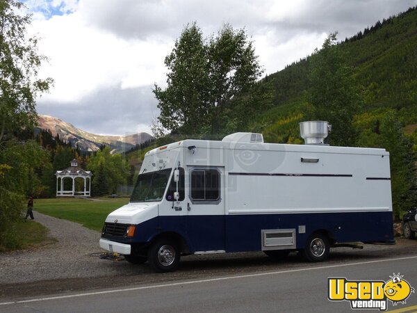 1991 P-30 All-purpose Food Truck Texas Gas Engine for Sale
