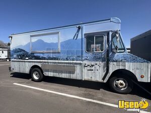 1991 P30 Kitchen Food Truck All-purpose Food Truck Colorado Gas Engine for Sale