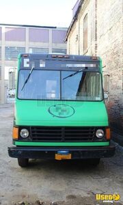1994 P30 All-purpose Food Truck Concession Window New York Gas Engine for Sale