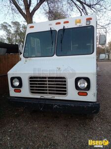 1994 P30 Stepvan Gas Engine Colorado Gas Engine for Sale