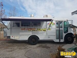 1995 All-purpose Food Truck New Mexico Diesel Engine for Sale