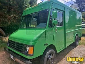 1995 P30 All-purpose Food Truck Stainless Steel Wall Covers Washington Gas Engine for Sale