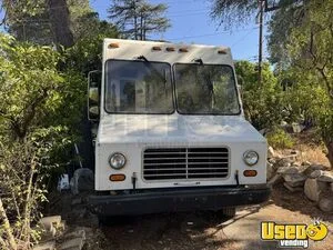 1995 P3500 All-purpose Food Truck Diamond Plated Aluminum Flooring California Gas Engine for Sale