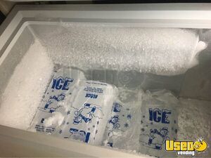 1996 G30 Shaved Ice Truck Snowball Truck Interior Lighting Texas Gas Engine for Sale