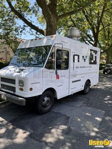 1997 P30 All Purpose Food Truck All-purpose Food Truck Stainless Steel Wall Covers New York Gas Engine for Sale