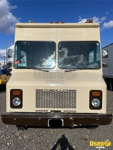 1997 P30 All-purpose Food Truck Cabinets Arizona Diesel Engine for Sale