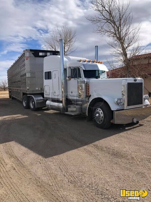 1999 379 Peterbilt Semi Truck Colorado for Sale