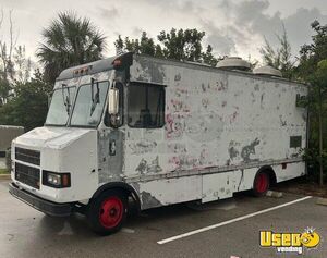 1999 Step Van Food Truck All-purpose Food Truck Air Conditioning Florida Gas Engine for Sale