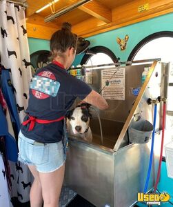 2000 Mobile Pet Wash And Retail Store Truck Pet Care / Veterinary Truck Generator New Mexico Gas Engine for Sale