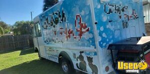 2003 Utilimaster Pet Grooming Truck Pet Care / Veterinary Truck Cabinets Florida Gas Engine for Sale