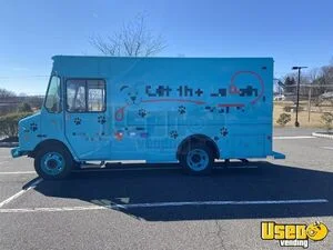 2004 Workhorse Pet Care / Veterinary Truck Interior Lighting Pennsylvania Diesel Engine for Sale