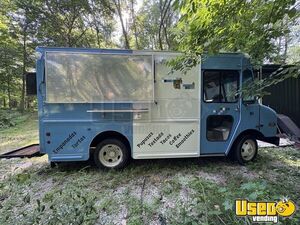 2004 Workhorse Taco Food Truck Indiana Diesel Engine for Sale