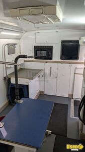 2006 E450 Pet Care / Veterinary Truck Hand-washing Sink Washington Gas Engine for Sale