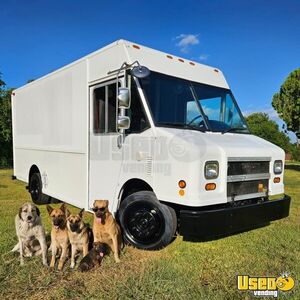 2006 Mt45 Stepvan Texas Diesel Engine for Sale