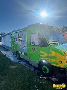 2007 Workhorse Ice Cream Truck Air Conditioning Florida Gas Engine for Sale