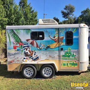 2008 Mobile Dog Grooming Trailer Pet Care / Veterinary Truck Florida for Sale