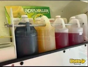 2009 Express Mini Van Snowball Truck Hand-washing Sink Illinois Gas Engine for Sale