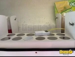 2009 Express Mini Van Snowball Truck Interior Lighting Illinois Gas Engine for Sale