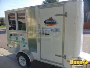 2010 Shaved Ice Concession Trailer Snowball Trailer Fire Extinguisher Colorado for Sale
