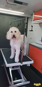 2011 Mobile Pet Grooming Trailer Pet Care / Veterinary Truck Cabinets California for Sale