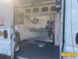 2017 Promaster 2500 Pet Care / Veterinary Truck Interior Lighting Texas for Sale