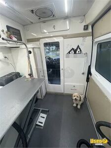 2017 Promaster Pet Grooming Truck Pet Care / Veterinary Truck Backup Camera New York Gas Engine for Sale