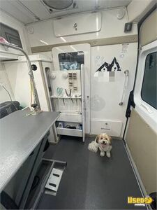 2017 Promaster Pet Grooming Truck Pet Care / Veterinary Truck Cabinets New York Gas Engine for Sale